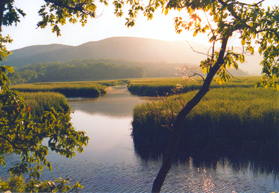 Photo of Constitution Marsh by John Hulsey